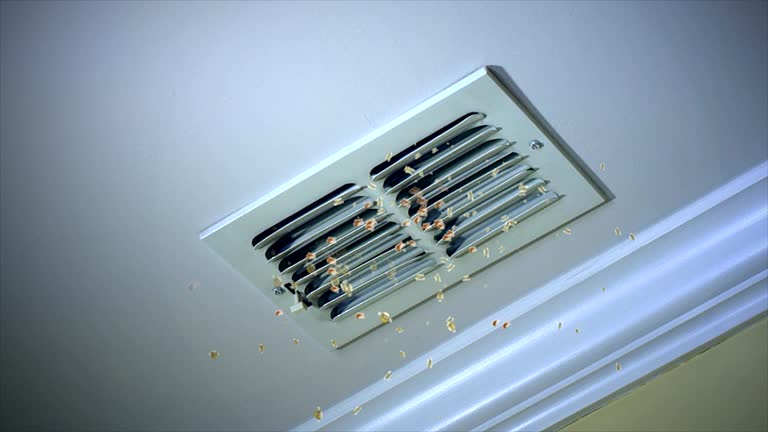 Best HVAC Air Duct Cleaning  in Grantville, GA