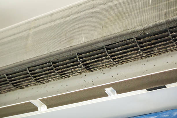 Affordable HVAC Duct Cleaning in Grantville, GA
